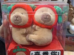-京北大世界