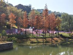 -云溪植物园