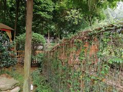-二荆条·蜀鲜汇城市森林火锅