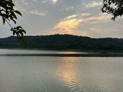 -羊山湖公园
