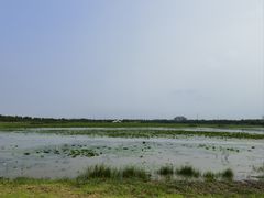 -天津东丽湖风景区