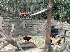 -上海野生动物园