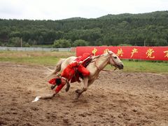 -塞罕坝国家级自然保护区