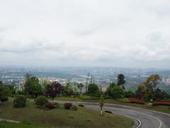 景点-铁山坪森林公园