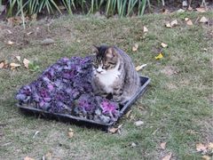 -苏州河梦清园环保主题公园