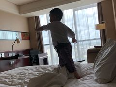 -上海浦东绿地铂骊酒店