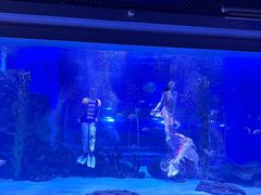 -顺德南宏海立方海洋公园