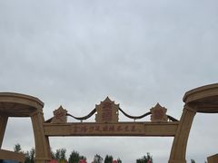 -金塔沙漠胡杨林景区