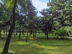 -北陵公园