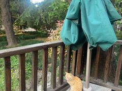 -上海虹桥迎宾馆