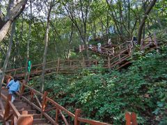 -大岭沟猕猴桃谷风景区