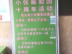 -马陆小张葡萄园农家乐