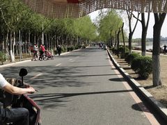 -丁香湖公园