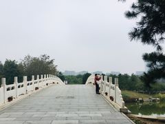 -大兴滨河森林公园