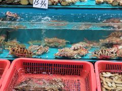 水产区-新享乐海鲜(翠华路店)
