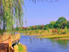 -南京枫彩漫城