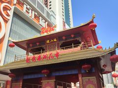-越秀西湖花市(广州城市广场花卉店)