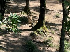 -哈尔滨北方森林动物园