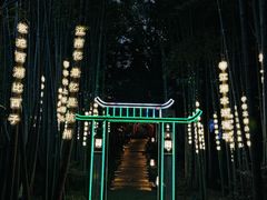 -杭州黄龙洞