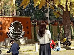 -三里屯东五街银杏大道