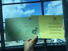 -西沃古尔·拉姆古兰爵士国际机场