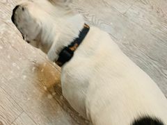 -小时光咖啡馆(北锣鼓巷店)