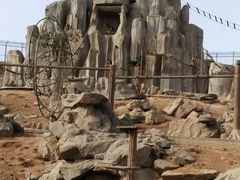 -石家庄市动物园