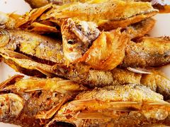 -庆岭迎宾园正宗活鱼馆