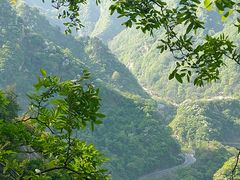 -秦岭风景区