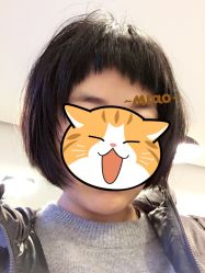 -大象造型