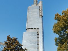 -紫峰大厦