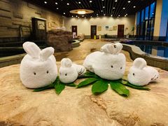 -天目湖涵田半山温泉