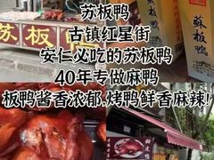 -安仁古镇