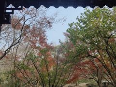 -秋霞圃