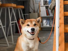 -隹木咖啡馆(宝龙广场店)