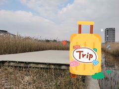 -鹦鹉洲湿地公园