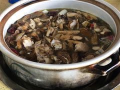 -东巴谷野生菌火锅餐厅