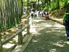 -灵岩山风景区