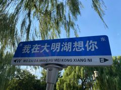 -济南大明湖景区
