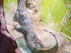 -上海大自然野生昆虫馆