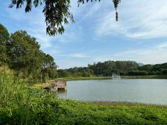 -福建鲤鱼洲酒店