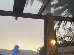 -长隆海洋王国-海洋大街餐厅