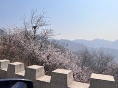 -妙峰山风景名胜区