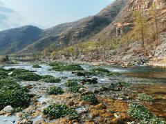 -大平台龙居瀑布旅游区