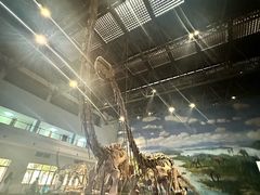 -自贡恐龙博物馆