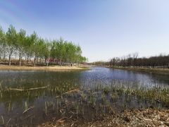 -东郊湿地公园