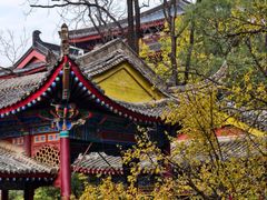 -华清宫景区