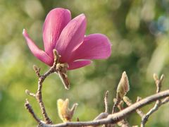 -烈士陵园(地铁站)