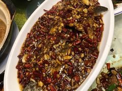 -光辉公鸡馆(事业小区店)