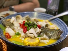 -熠盛粤味·顺德桑拿鸡(永康路店)